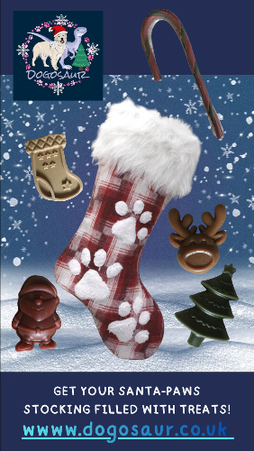 First Christmas for Dogosaur and dog friendly, The Cosy Bean Cafe! The Cosy Bean Cafe, Northway, Sedgley is a breath of fresh air to the area AND. . . . .THEY ARE SUPER DOG FRIENDLY!