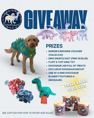 Dogosaur Giveaway! Dogosaur are delighted to present our first giveaway for the launch of our NEW WEBSITE www.dogosaur.co.uk