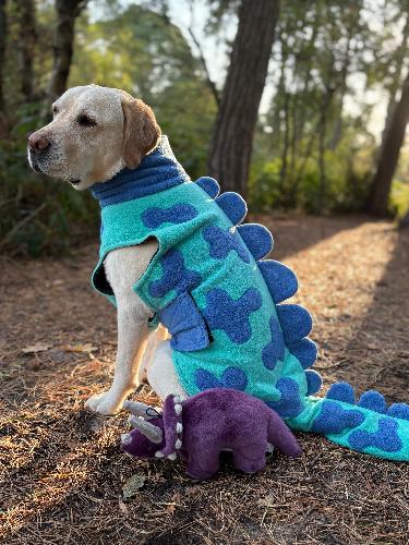 A DINO-TASTIC START FOR DOGOSAUR.CO.UK! Dogosaur.co.uk welcomes dogs and their owners to the launch of their new website and gives a huge thank you to all those who helped along the way!