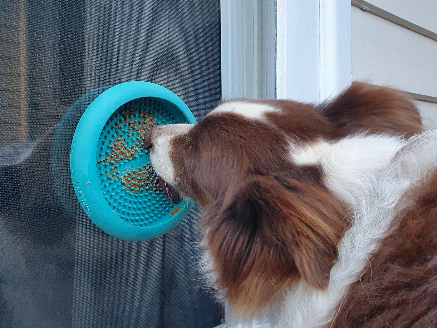 LICKIMAT UFO Dog Feeder Durable Dog Feeder For Enrichment And Stimulation